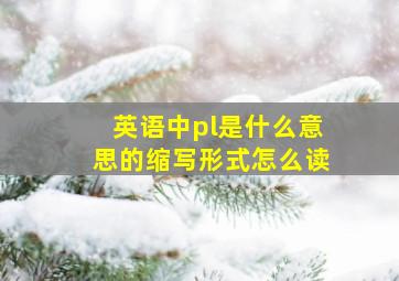 英语中pl是什么意思的缩写形式怎么读