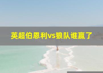 英超伯恩利vs狼队谁赢了