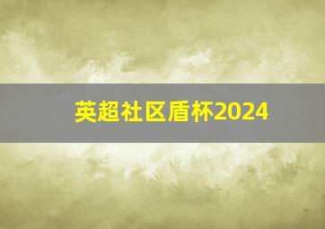 英超社区盾杯2024