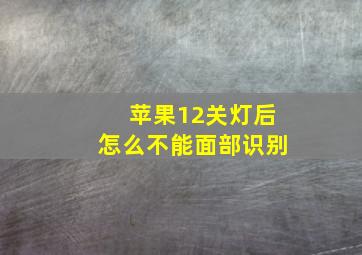 苹果12关灯后怎么不能面部识别