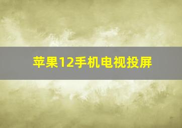 苹果12手机电视投屏