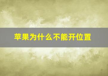 苹果为什么不能开位置