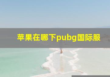 苹果在哪下pubg国际服