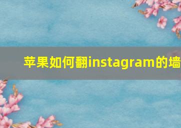 苹果如何翻instagram的墙