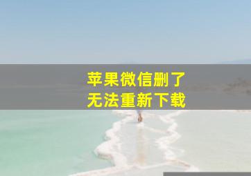 苹果微信删了无法重新下载