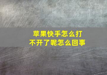 苹果快手怎么打不开了呢怎么回事