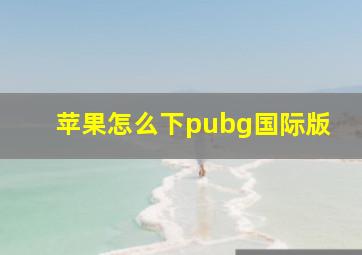 苹果怎么下pubg国际版