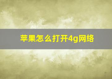 苹果怎么打开4g网络