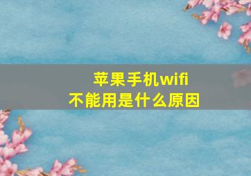 苹果手机wifi不能用是什么原因