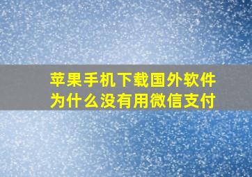 苹果手机下载国外软件为什么没有用微信支付