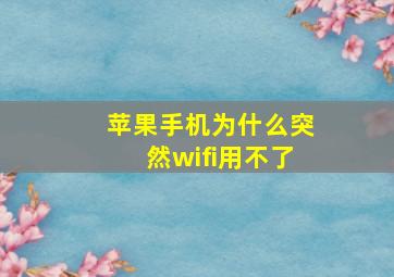 苹果手机为什么突然wifi用不了