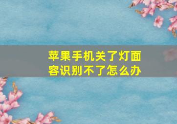 苹果手机关了灯面容识别不了怎么办