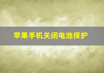 苹果手机关闭电池保护