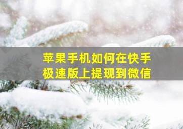 苹果手机如何在快手极速版上提现到微信