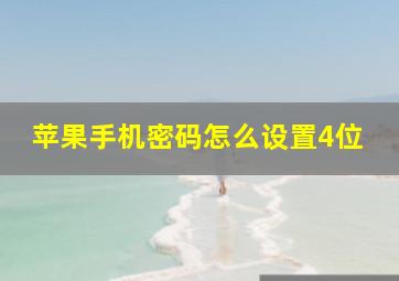 苹果手机密码怎么设置4位