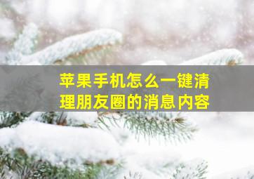 苹果手机怎么一键清理朋友圈的消息内容