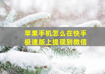 苹果手机怎么在快手极速版上提现到微信