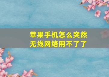 苹果手机怎么突然无线网络用不了了