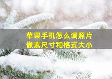 苹果手机怎么调照片像素尺寸和格式大小