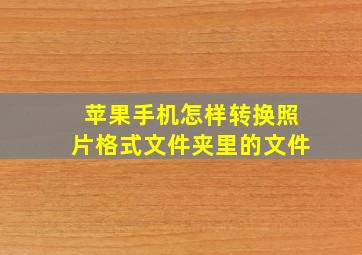 苹果手机怎样转换照片格式文件夹里的文件