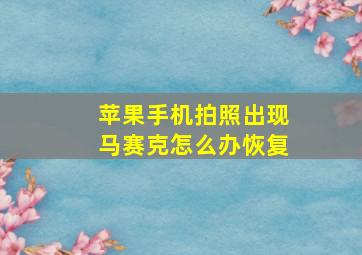 苹果手机拍照出现马赛克怎么办恢复