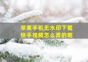 苹果手机无水印下载快手视频怎么弄的呢