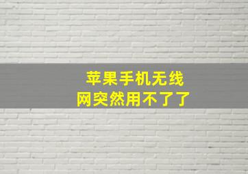 苹果手机无线网突然用不了了