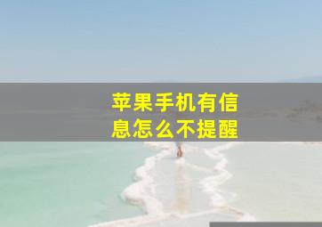 苹果手机有信息怎么不提醒