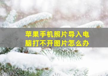 苹果手机照片导入电脑打不开图片怎么办