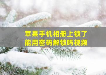 苹果手机相册上锁了能用密码解锁吗视频