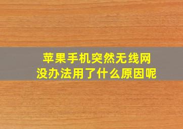 苹果手机突然无线网没办法用了什么原因呢