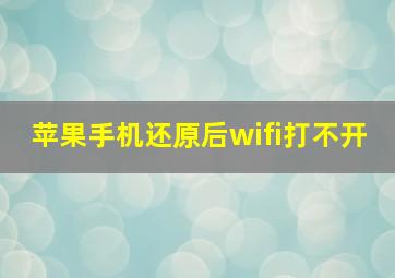 苹果手机还原后wifi打不开