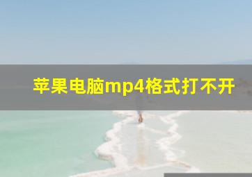 苹果电脑mp4格式打不开