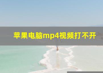 苹果电脑mp4视频打不开