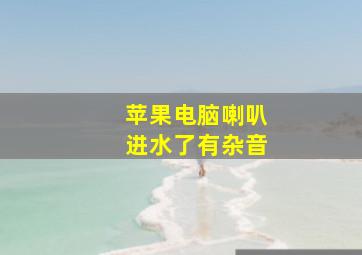 苹果电脑喇叭进水了有杂音