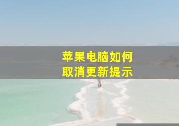 苹果电脑如何取消更新提示