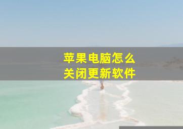 苹果电脑怎么关闭更新软件