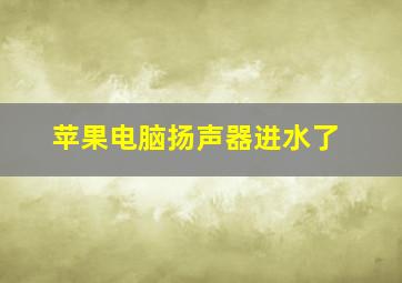 苹果电脑扬声器进水了