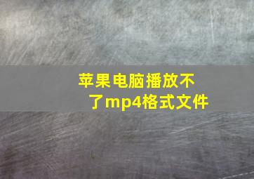 苹果电脑播放不了mp4格式文件