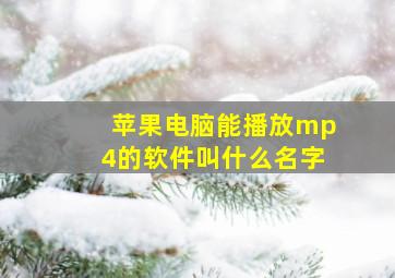 苹果电脑能播放mp4的软件叫什么名字