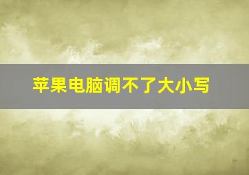 苹果电脑调不了大小写