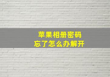 苹果相册密码忘了怎么办解开