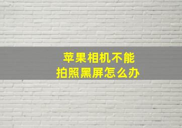 苹果相机不能拍照黑屏怎么办