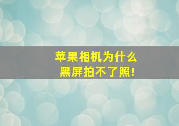 苹果相机为什么黑屏拍不了照!