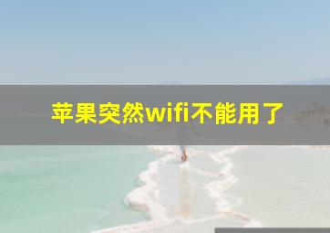 苹果突然wifi不能用了