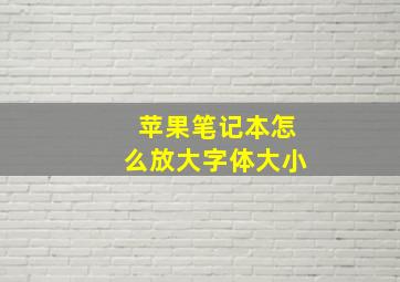 苹果笔记本怎么放大字体大小