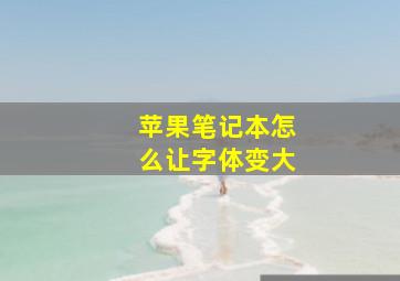 苹果笔记本怎么让字体变大