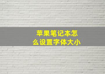 苹果笔记本怎么设置字体大小