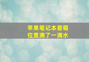 苹果笔记本音箱位置滴了一滴水