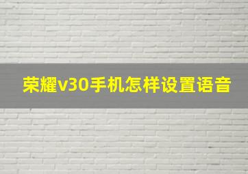 荣耀v30手机怎样设置语音